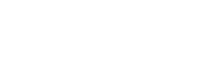 The Famous Steak House